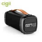 Бумбокс Cigii F61 (Bluetooth, USB, micro SD, FM, AUX, Mic)