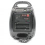 Беспроводная портативная колонка Golon RX-810BT (Bluetooth, USB, SD, FM, AUX)