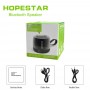 Портативная акустическая колонка Hopestar H17 (Bluetooth, FM, MP3, AUX, Mic)