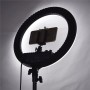 Кольцевое освещение для профессиональной съемки Mettle RL-12 ll 240 LED (34.5 см)