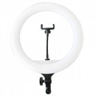 Кольцевая лампа с пультом Ring Fill Light YQ-360B (36 см)
