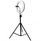 Кольцевая лампа для фото и видео съемки Ring Fill Light ZD-340 (34 см)