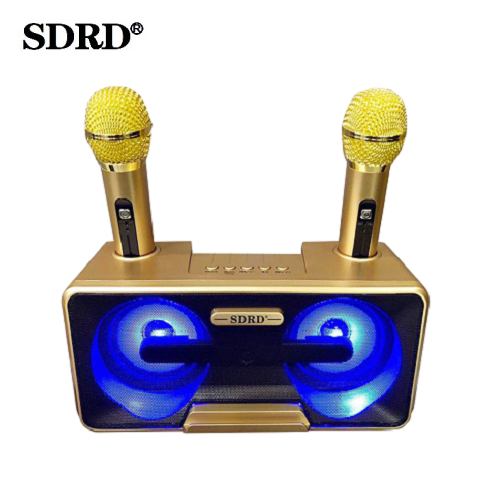 Семейная караоке система на два микрофона SDRD SD-301