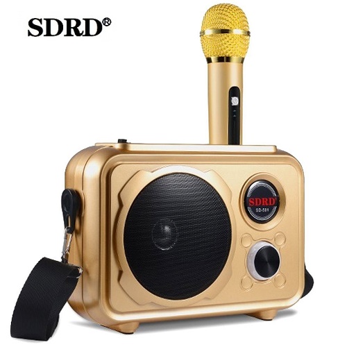 Портативная караоке система - громкоговоритель на один микрофон SDRD SD-501