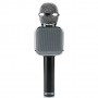 Колонка с функцией Караоке Микрофона Wster WS-1818 (USB, microSD, AUX, FM, Bluetooth)