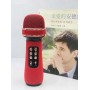 Караоке микрофон для дуэта Wster WS-898 (USB, microSD, AUX, FM, Bluetooth, TWS)