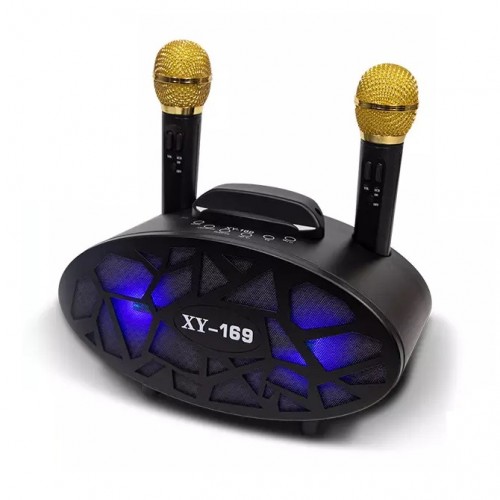 Семейная караоке система на два микрофона SDRD XY-169 (USB/Bluetooth/TF, 2 микрофона)